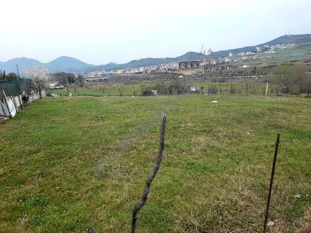 Land for sale in Sauk area in Tirana , Albania